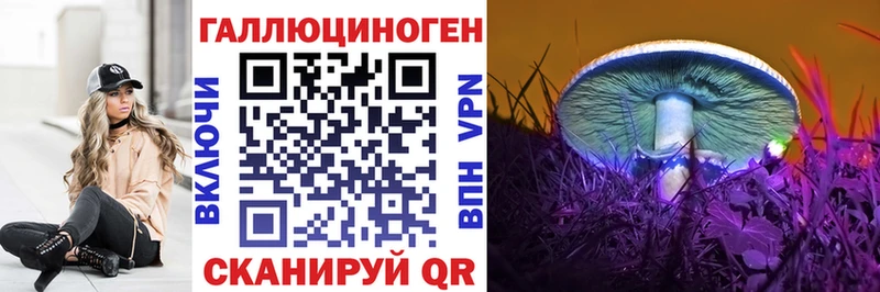Псилоцибиновые грибы Cubensis  что такое   Рославль 